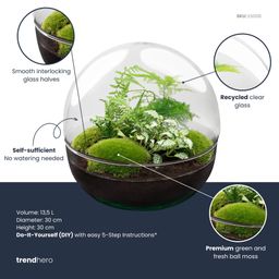 DIY Planten terrarium tweedelig bolglas - Dome XL -Ø 28 cm ↑ 28 cm - Rake + Shovel (8720726958868)