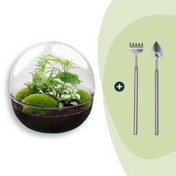 DIY Planten terrarium tweedelig bolglas - Dome XL -Ø 28 cm ↑ 28 cm - Rake + Shovel (8720726958868)