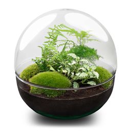 DIY Planten terrarium tweedelig bolglas - Dome XL -Ø 28 cm ↑ 28 cm - Rake + Shovel (8720726958868)
