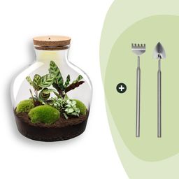 DIY Planten terrarium met licht - Fat Joe - Ø 29 cm ↑ 30 cm - Rake + Shovel (8720726958523)