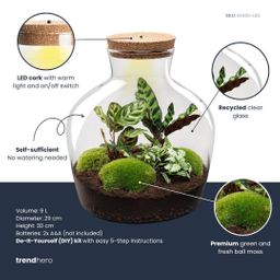 DIY Planten terrarium met licht - Fat Joe - Ø 29 cm ↑ 30 cm - Rake + Shovel (8720726958523)