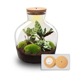 DIY Planten terrarium met licht - Fat Joe - Ø 29 cm ↑ 30 cm - Rake + Shovel + Tweezer (8720726958530)