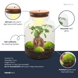 DIY Planten terrarium met licht - Milky Bonsai - Ø 21 cm ↑ 30 cm - Rake + Shovel + Tweezer (8720726958172)