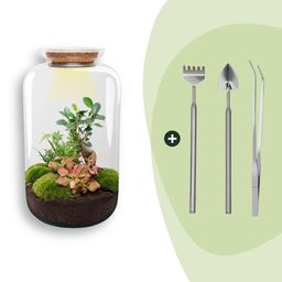 DIY terrarium - Sven XL Bonsai - Met verlichting - Rake + Shovel + Tweezer (8720872020020)
