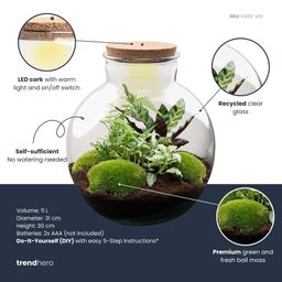 DIY Planten terrarium (met verlichting) - Bolder Bob - Ø 31 cm ↑ 30 cm - Rake + Shovel + Tweezer + Scissors (8720726958479)