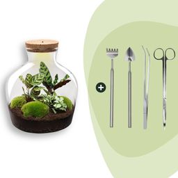 DIY Planten terrarium met licht - Fat Joe - Ø 29 cm ↑ 30 cm - Rake + Shovel + Tweezer + Scissors (8720726958547)