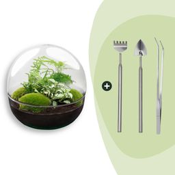 DIY Planten terrarium tweedelig bolglas - Dome XL -Ø 28 cm ↑ 28 cm - Rake + Shovel + Tweezer (8720726958875)