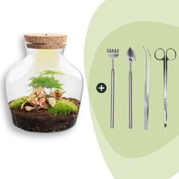 DIY terrarium - Little Joe met licht - ↕ 21,5 cm - Rake + Shovel + Tweezer + Scissors (8720872020099)