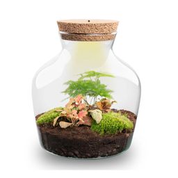 DIY terrarium - Little Joe met licht - ↕ 21,5 cm - Rake + Shovel + Tweezer (8720872020082)