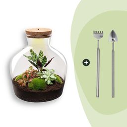 DIY Planten terrarium met licht - Fat Joe Red - Ø 29 cm ↑ 30 cm - Rake + Shovel (8720726958608)