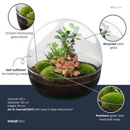 DIY Planten terrarium tweedelig bolglas - Dome XL Bonsai - Ø 28 cm ↑ 28 cm - Rake + Shovel + Tweezer (8720726958905)