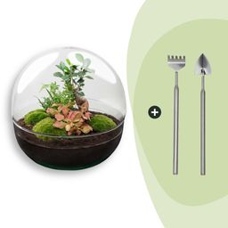 DIY Planten terrarium tweedelig bolglas - Dome XL Bonsai - Ø 28 cm ↑ 28 cm - Rake + Shovel (8720726958899)