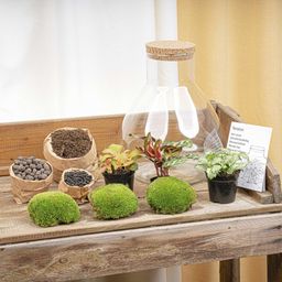DIY Planten terrarium met licht - Sam XL Red - Ø 30 cm ↑ 32 cm - Rake + Shovel + Tweezer (8720726958110)