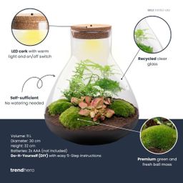 DIY Planten terrarium met licht - Sam XL Red - Ø 30 cm ↑ 32 cm - Rake + Shovel + Tweezer (8720726958110)