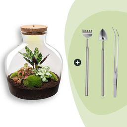 DIY Planten terrarium met licht - Fat Joe Red - Ø 29 cm ↑ 30 cm - Rake + Shovel + Tweezer (8720726958615)
