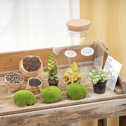 DIY Planten terrarium met licht - Fat Joe Red - Ø 29 cm ↑ 30 cm - Rake + Shovel + Tweezer (8720726958615)