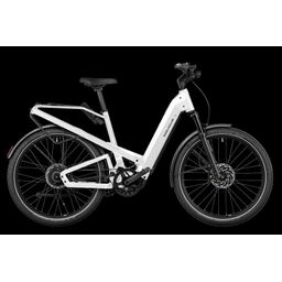 Riese & Müller Testbike Homage GT Vario Kiox ABS RX, Pearl White (F01126_060320110113170914)