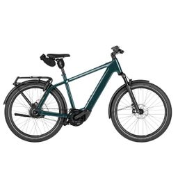 Riese & Müller Charger5 vario Pine 58cm ch5 58cm 58cm 2026 (4070477000977)