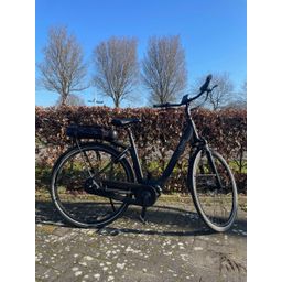 Qwic Premium I MN7+ Lage instap zwart 58cm 2022 (F.15834)