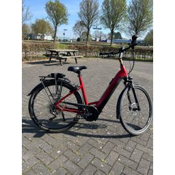 Pegasus Premio EVO 10 Lite 625WH Dames monotube Rood/Zwart 55cm 2022 (F.15874)