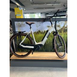 BATAVUS Altura E-Go Power Pro N5 Lage instap Lichtgrijs 61cm 2024 (8713568496452)
