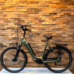 Raleigh ICD 7, Light Olive (8713568539326)