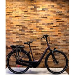 BATAVUS Finez E-go Active Plus 500Wh, Sangria-mat (8713568445849)
