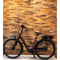 BATAVUS Finez E-go Active Plus 500Wh, Sangria-mat (8713568445849)