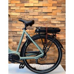 SPARTA A-Lane Energy, Alpine Green Matt (8713568499453)