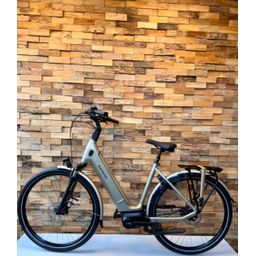 BATAVUS Finez E-Go Power Exclusiv, Champagne Goud Glans (8713568497145)