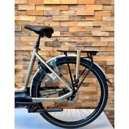 BATAVUS Finez E-Go Power Exclusiv, Champagne Goud Glans (8713568497145)