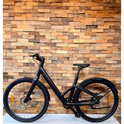 Reany W1, Black Matt (RB1202F)