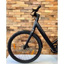 Reany W1, Black Matt (RB1202F)