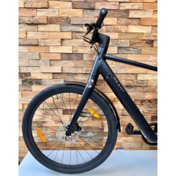 Reany N1, Black Matt (RB1302F)