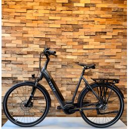 LEVIT CALVIA 5, Black Pearl Matt (8595174251331)