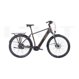 LEVIT BELECO 3 Heren Allspice 60cm 2025 (8595174256817)