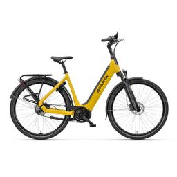 SPARTA D-Rule Energy BES-3 Dames Broom Yellow Matte 57cm 2024 (8713568530798)