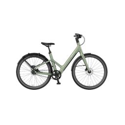 Reany W1 GT Sage green 48cm 2026 (F.76176)
