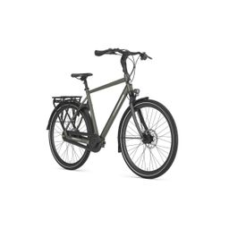 GAZELLE Chamonix C8, Clay Green Mat (8717231361351)