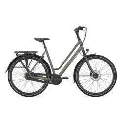 GAZELLE Chamonix C8, Clay Green Mat (8717231361313)