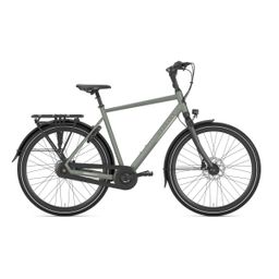 GAZELLE Chamonix C8, Clay Green Mat (8717231361368)