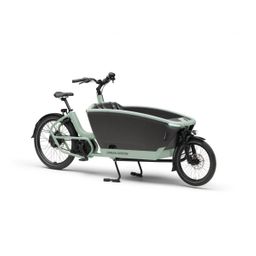 URBAN ARROW Family Next Cargo, Sagegreen (8721052923407)