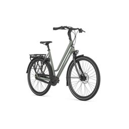 GAZELLE Chamonix C8 DAMES Clay Green Mat 53cm 2024 (8717231361313)