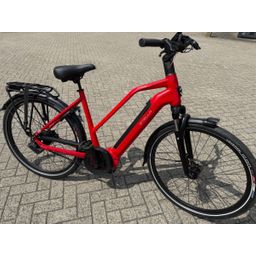 Stella Morena Mixed Rood 53cm M 2022 (F.98048)