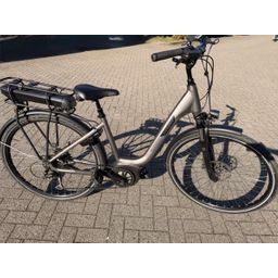 Victoria eTrekking 4.6 Dames brons 48cm 2025 (F.101662)