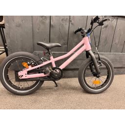 Alpina Zoof 14 lila of grijs 2024 (AZ14)