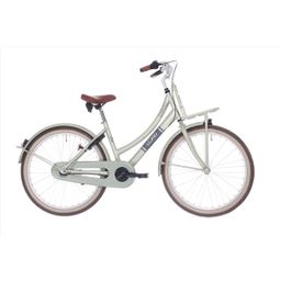 Bikefun Load Cargo 24 Meisjes Sage 2026 (8716637053211)