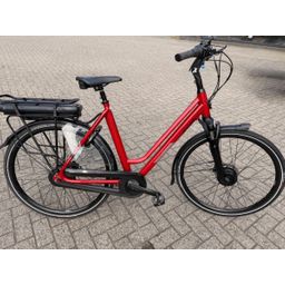 Stella Vicenza Lage instap Rood 57cm 2023 (F.102842)