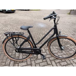 Cortina Foss Dames Arrant Black 53cm 2022 (CFOSS7NDD53ABM)