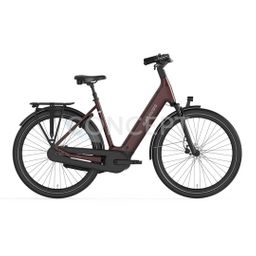BATAVUS Finez PT Exclusive 2026 DAMES Burgundy Red Matt 53cm 2026 (8713568557801)
